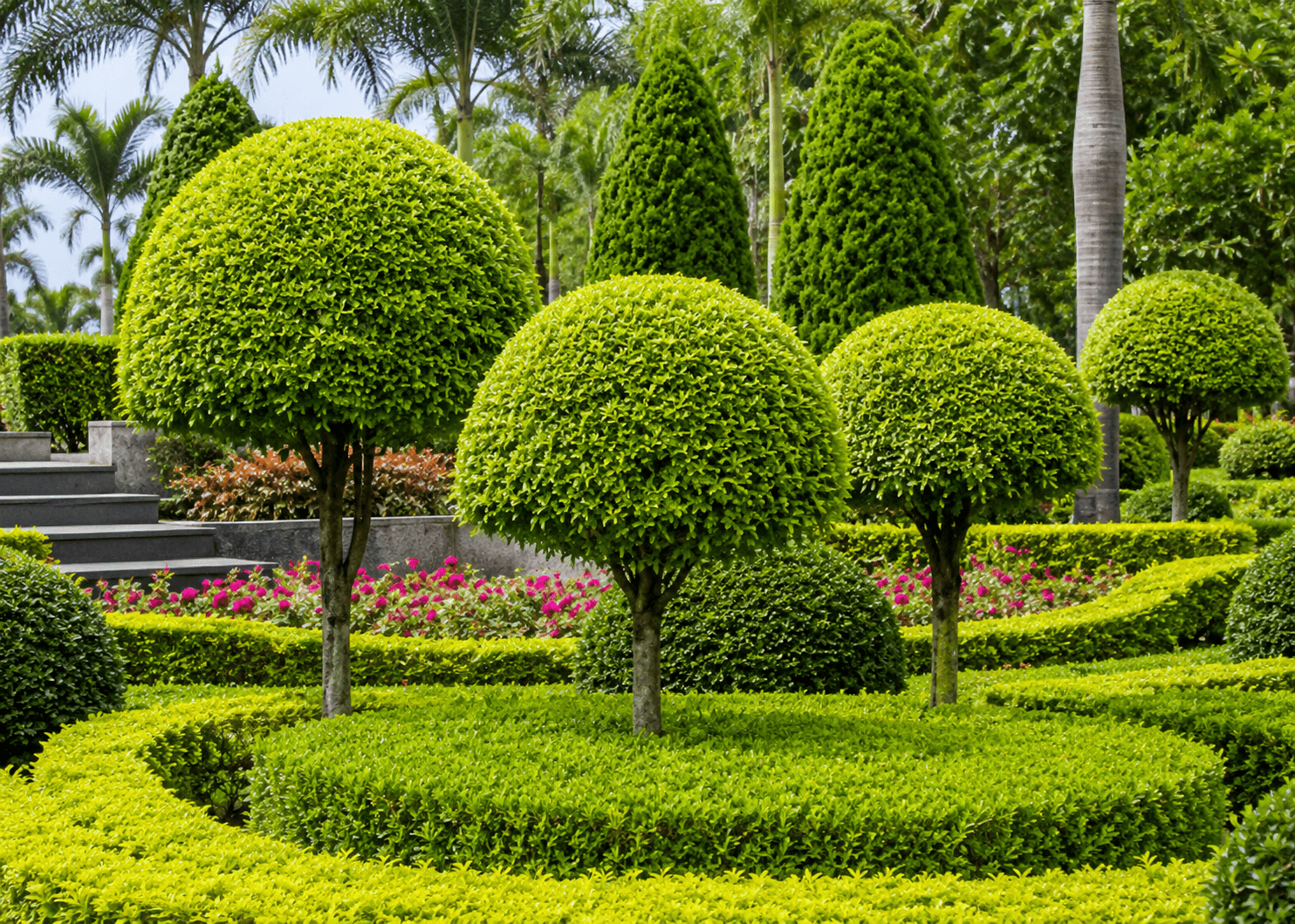 Landscape Maintenance