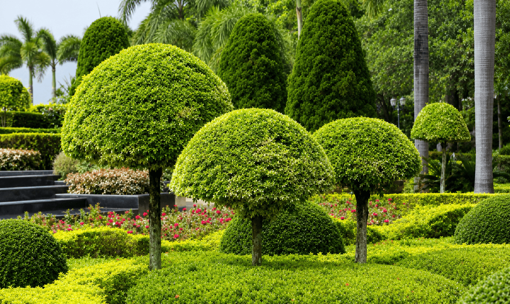Landscape Maintenance